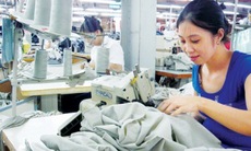 Nợ đọng bảo hiểm của Hà Nội lớn nhất cả nước