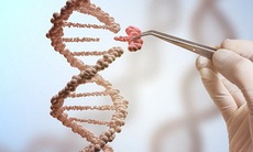 Công cụ chỉnh sửa gene hy vọng mới trong điều trị