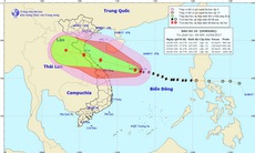 Ứng phó khẩn cấp với cơn bão mạnh nhất trong năm