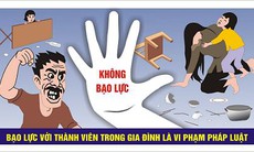 Hỗ trợ xây dựng và triển khai chương trình phòng ngừa bạo lực gia đình