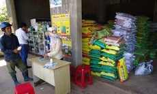 Xử lý nghiêm hành vi sản xuất, kinh doanh phân bón giả, kém chất lượng