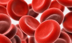 Hiểu đúng về bệnh Thalassemia