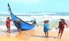 Bồi thường, hỗ trợ sự cố môi trường biển 4 tỉnh miền Trung đạt hơn 97%