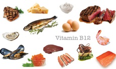 Cơ thể cần vitamin B12 như thế nào?