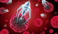 Công nghệ nano: Cuộc cách mạng trong y dược học