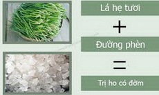 Thuốc trị ho có đờm: Sử dụng đúng mới hiệu quả