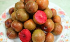 Lọ mọ mùa mận