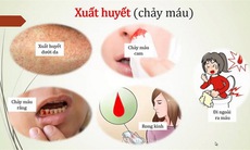 Bài thuốc trị sốt xuất huyết