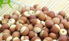 Khiếm thực - Thuốc tốt cho người cao tuổi