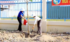 Bình Thuận: Hưởng ứng các phong trào nước sạch và vệ sinh môi trường nông thôn