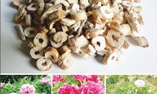 Bài thuốc giúp quý ông tự tin hơn