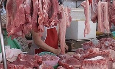 Nhận diện thịt nhiễm bệnh tả lợn châu Phi