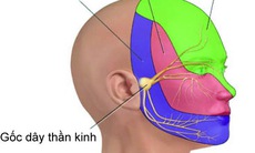 Nhận biết đau dây thần kinh số V