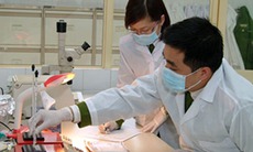 Một cuộc giám định hiếm hoi