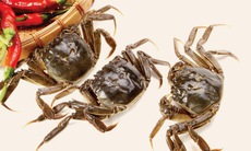 Cua đồng - món ngon, thuốc quý
