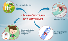 Sốt xuất huyết - khi nào là nguy hiểm?