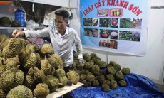 Yêu thương bên dòng Tô Hạp