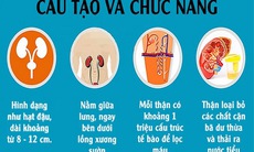 Dấu hiệu cảnh báo chức năng thận suy giảm