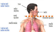 Các loại nước uống hỗ trợ trị bệnh lây qua đường hô hấp