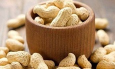 Chất dinh dưỡng cần thiết cho não bộ