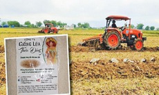 Thực hư gạo Thiên Đàng chữa bệnh