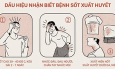 Theo dõi các mức độ của sốt xuất huyết, tránh tử vong