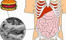 Cách phòng ngừa lỵ trực khuẩn