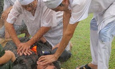 Hội chứng vùi lấp và những thảm họa...