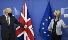 Những nỗ lực cuối cùng về Brexit