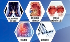 Điểm mặt “thủ phạm” gây tiểu máu