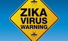 Bộ Y tế phát thông điệp khuyến cáo phòng chống dịch bệnh do vi rút Zika