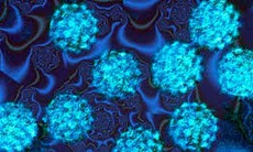 Nhiễm HPV có gây ung thư ở nam giới không?