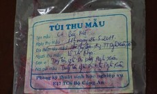 Cá có màu đỏ bất thường ở Hà Tĩnh: Có xuất hiện vi khuẩn Serratia marcescens