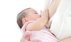 Bú mẹ ít, dùng sữa công thức sớm, trẻ tăng nguy cơ gan nhiễm mỡ khi trưởng thành