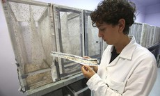 WHO: Sẽ có 4 triệu ca nhiễm virus zika trong 12 tháng tới