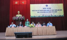 Bí thư Thăng:Để phát triển mô hình bác sĩ gia đình,chính quyền địa phương cần vào cuộc