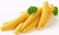 Lợi ích sức khỏe của ngô bao tử