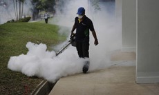 Sau Singapore điểm đến tiếp theo của dịch bệnh do virus Zika là ở đâu?