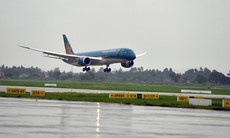 Hai máy bay Vietnam Airlines bị chim va vào động cơ khi hạ cánh