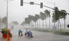 Ban chỉ đạo TƯ phòng chống thiên tai: Còn 10-12 cơn bão nữa trong năm nay