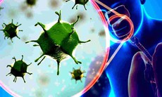 Khắc tinh của virus gây bệnh hô hấp