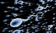 Trắc nghiệm thú vị về tinh trùng