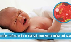 Phòng tránh nhiễm trùng ở trẻ sơ sinh