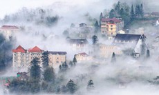 Tết này có ghé Sapa
