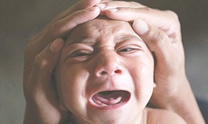 Khám phá mới về virút Zika
