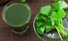 "Hạ nhiệt" cơ thể ngày hè
