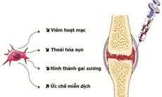 Ứng dụng tế bào gốc trung mô trong chấn thương chỉnh hình