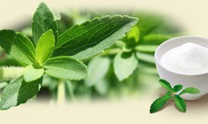 Cỏ ngọt Stevia – thực phẩm cho người tiểu đường