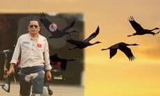 Người lính phi công không về sẽ “hoá sếu trắng bay cao”