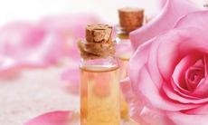 Hoa hồng thuốc quý cho sức khỏe & sắc đẹp